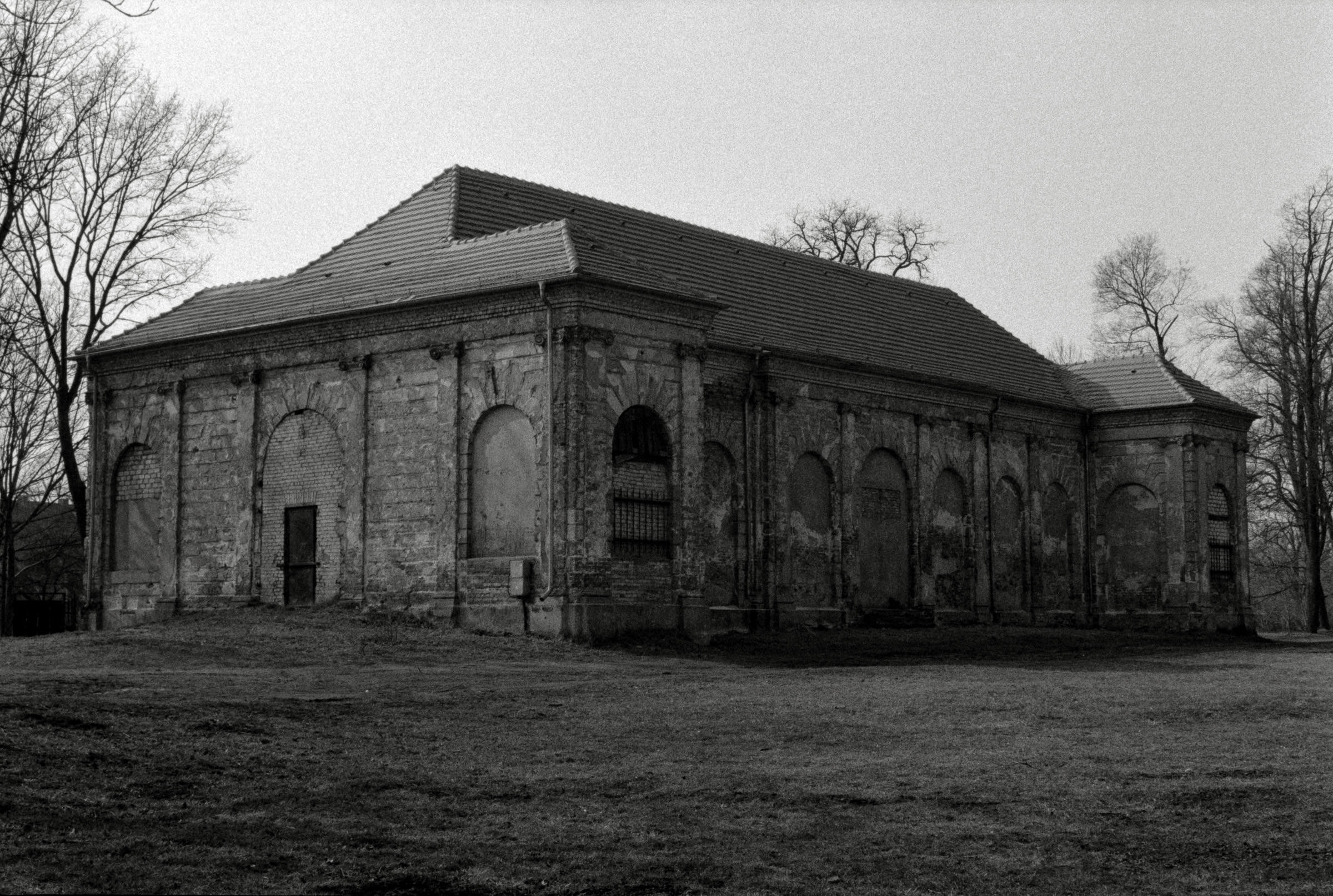 AHP F1993 03 004 sc240902 img22 NLP